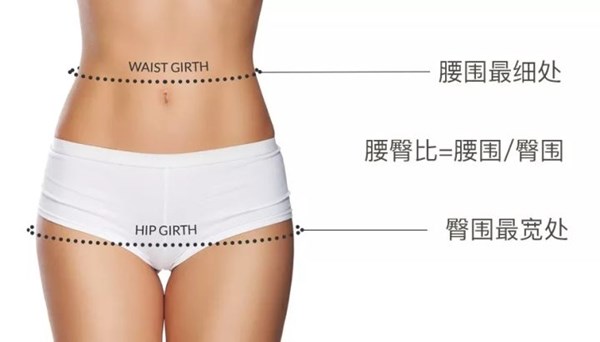 腰臀比.jpg 腰臀比.jpg