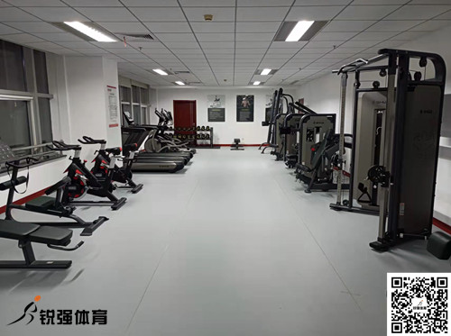 济南某集团采购的333体育提供的健身器材