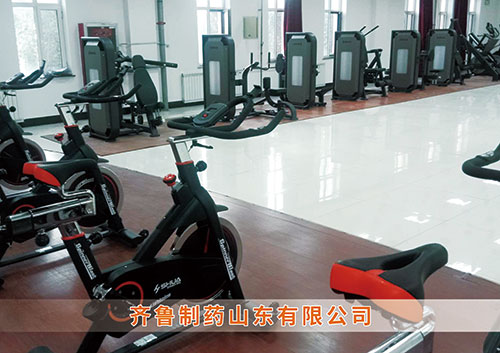 ​333体育为齐鲁制药呼和浩特分公司打造健身房